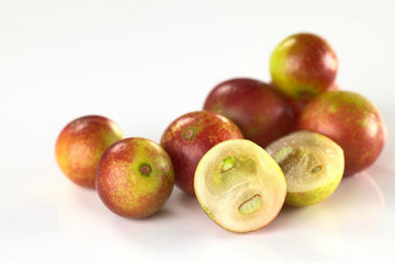 Camu Camu: Sus Principales Beneficios y como tomarla